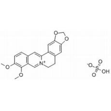 硫酸小檗碱分析标准品,HPLC≥98%