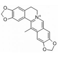甲基黄连碱分析标准品,HPLC≥98%