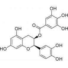 表儿茶素没食子酸酯分析标准品,HPLC≥98%