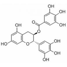 没食子儿茶素没食子酸酯分析标准品,HPLC≥98%