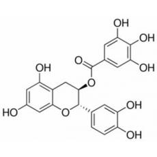 儿茶素没食子酸酯分析标准品,HPLC≥98%