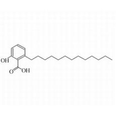 白果新酸（银杏酸C13:0）分析标准品,HPLC≥98%