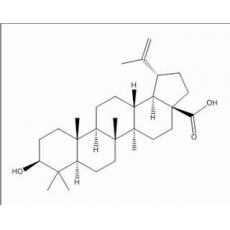 白桦脂酸分析标准品,HPLC≥98%