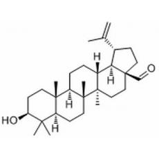 白桦脂醛分析标准品,HPLC≥98%