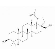 白桦脂醇分析标准品,HPLC≥98%