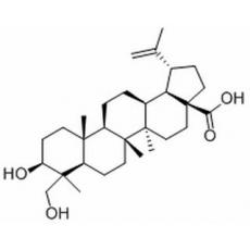 23-羟基白桦酸分析标准品,HPLC≥98%