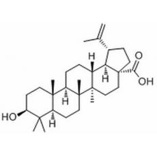 表白桦脂酸分析标准品,HPLC≥99%