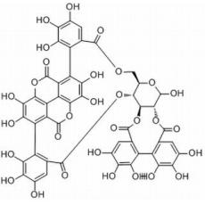 安石榴甙分析标准品,HPLC≥98%