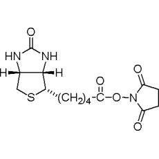 Z914573 (+)生物素-N-琥珀酰亚胺基酯, 98%