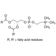 Z961761 卵磷脂, liquid, from soybean