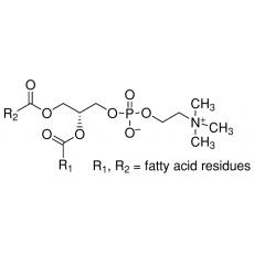 Z912367 卵磷脂, from soybean,>90%