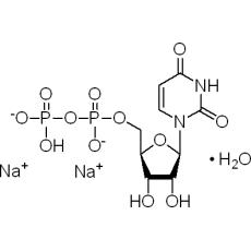 Z920306 尿苷-5'-二磷酸 二钠盐 水合物, ≥96.0% (HPLC)
