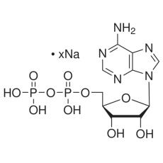Z901492 腺苷-5'-二磷酸 钠盐, ≥95% (HPLC)