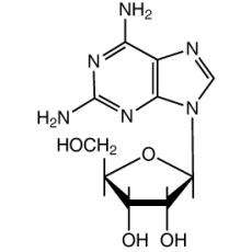 Z901680 2-氨基腺嘌呤核苷, 98%