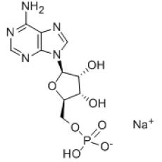 Z922786 5'-单磷酸腺苷单钠, 98%