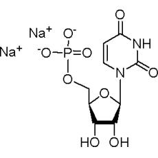 Z920323 5'-尿苷酸二钠(UMP), 99%