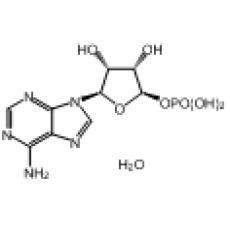 Z921789 5'-腺苷单磷酸一水合物, 98%