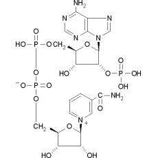 Z914520 β-烟酰胺腺嘌呤二核苷酸磷酸, 90%