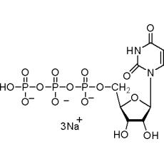 Z920305 尿苷-5'-三磷酸酯 三钠盐 水合物(UTP Na3), 95%