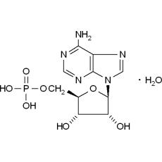 Z900978 腺苷-5'-磷酸, from yeast,≥97%