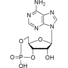 Z904842 腺苷环磷酸酯, 99%
