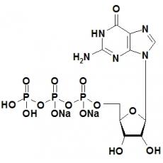 Z910728 鸟苷-5'-三磷酸二钠, ≥90%