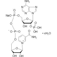 Z914673 β-烟酰胺腺嘌呤二核苷酸磷酸钠盐, 97%