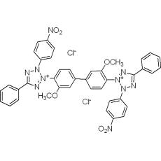 Z914596 氯化硝基四氮唑蓝, 98%