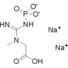 Z904629 磷酸肌酸钠,水合物, 98%