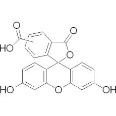 Z904899 5(6)-羧基荧光素, ≥95% (HPLC) ,5-和6-异构体混合物
