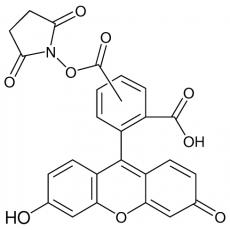 Z904900 5(6)-羧基荧光素琥珀酰亚胺酯, 96%