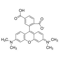Z905577 6-羧基四甲基罗丹明, for fluorescence,≥90%