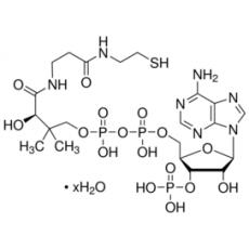 Z924132 辅酶 A 水合物, 85%