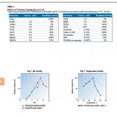 Z937834 尿酸酶, from arthrobacter protophormiae,≥10 u/mg