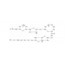 Z924529 乳酸链球菌素, ≥900 IU/mg