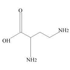 Z907853 D-2,4-二氨基丁酸, 99%