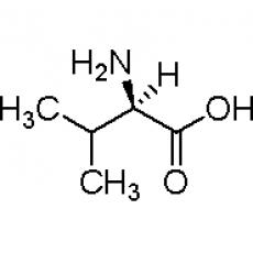 Z920384 D-缬氨酸, 98%
