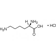 Z912439 D-赖氨酸盐酸盐, 98%