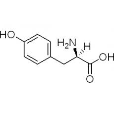 Z918619 D-酪氨酸, 98%