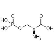 Z959951 L-O-磷酸丝氨酸, >98.0%(T)