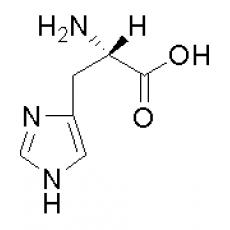 Z911073 L-组氨酸, 99%