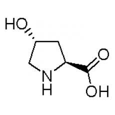 Z911195 L-羟基脯氨酸, 99%