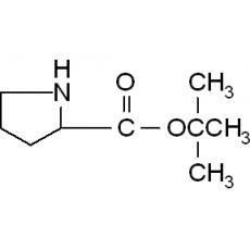 Z916738 L-脯氨酸叔丁基酯, 98%