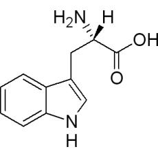 Z918799 L-色氨酸, 99%