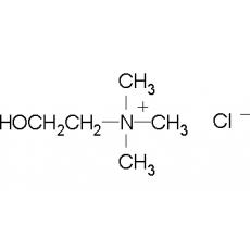Z905027 氯化胆碱, AR,98%