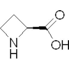 Z901755 (S)-(-)-2-羧基环丁胺, 99%