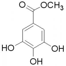 Z913081 没食子酸甲酯, 98%