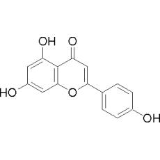 Z900500 芹菜素, ≥98.0% (HPLC)