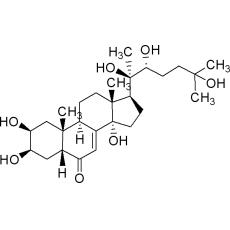 Z911108 蜕皮激素, ≥95%(HPLC),粉末