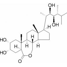 Z957027 2,4-表油菜素内酯（天丰素）, 98%